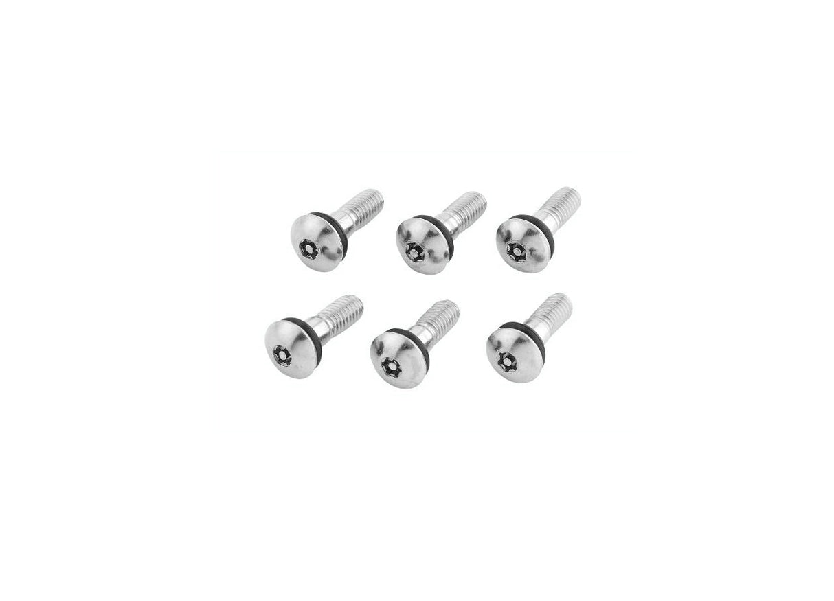 Hubcap Fastening Bolt for Retaining Ring – 1 pc