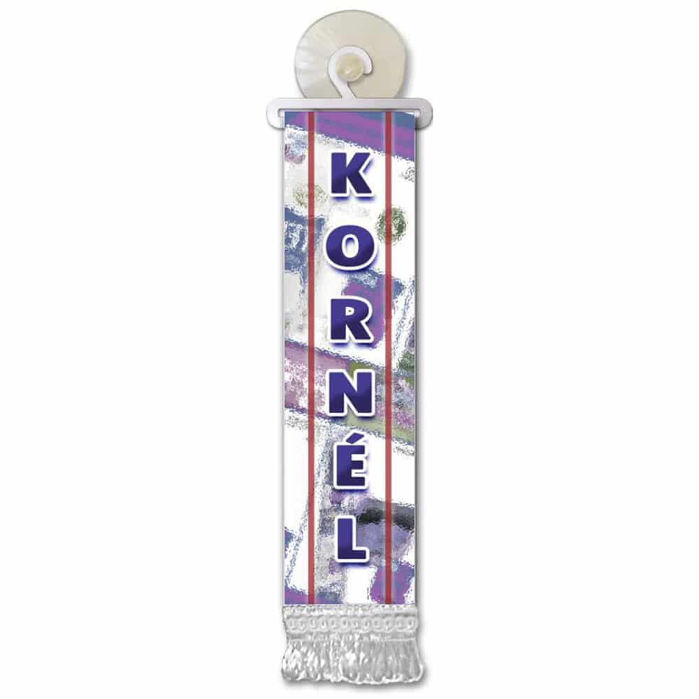 Mini Flag with Name F-L